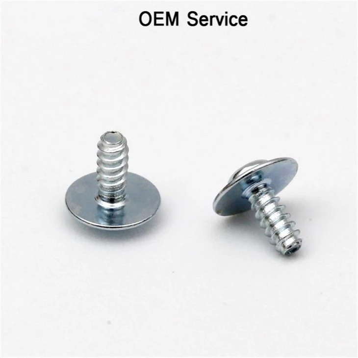 Phillip Round Head Small Screw